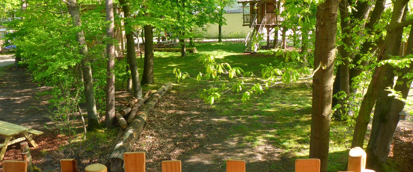 P1050515.JPG