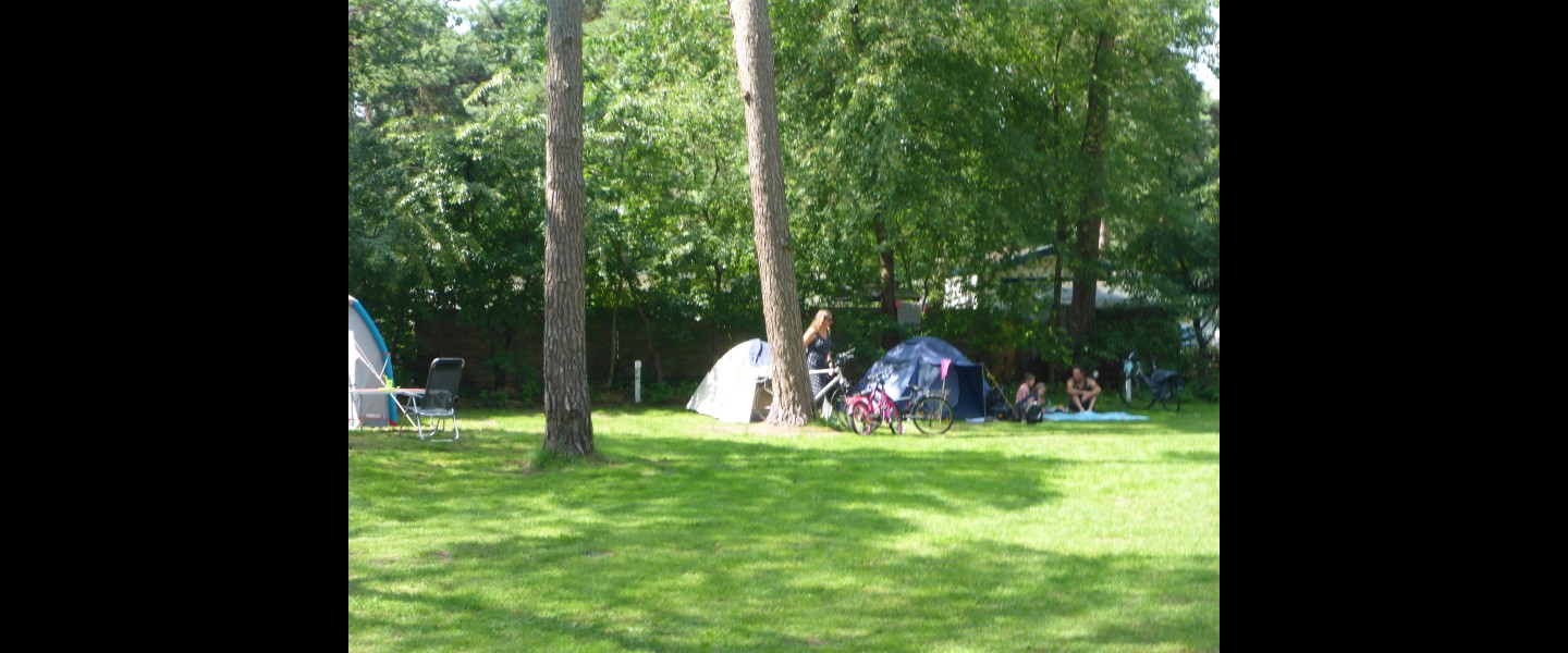 P1070236.JPG