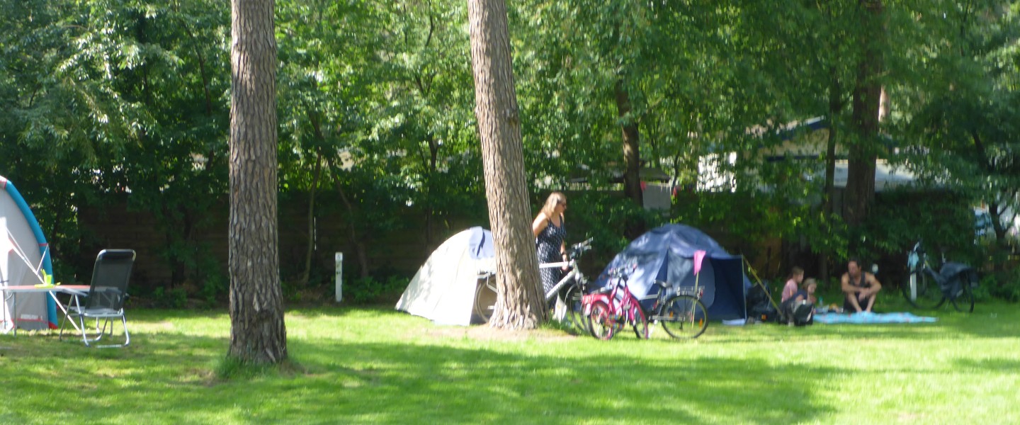 P1070236.JPG